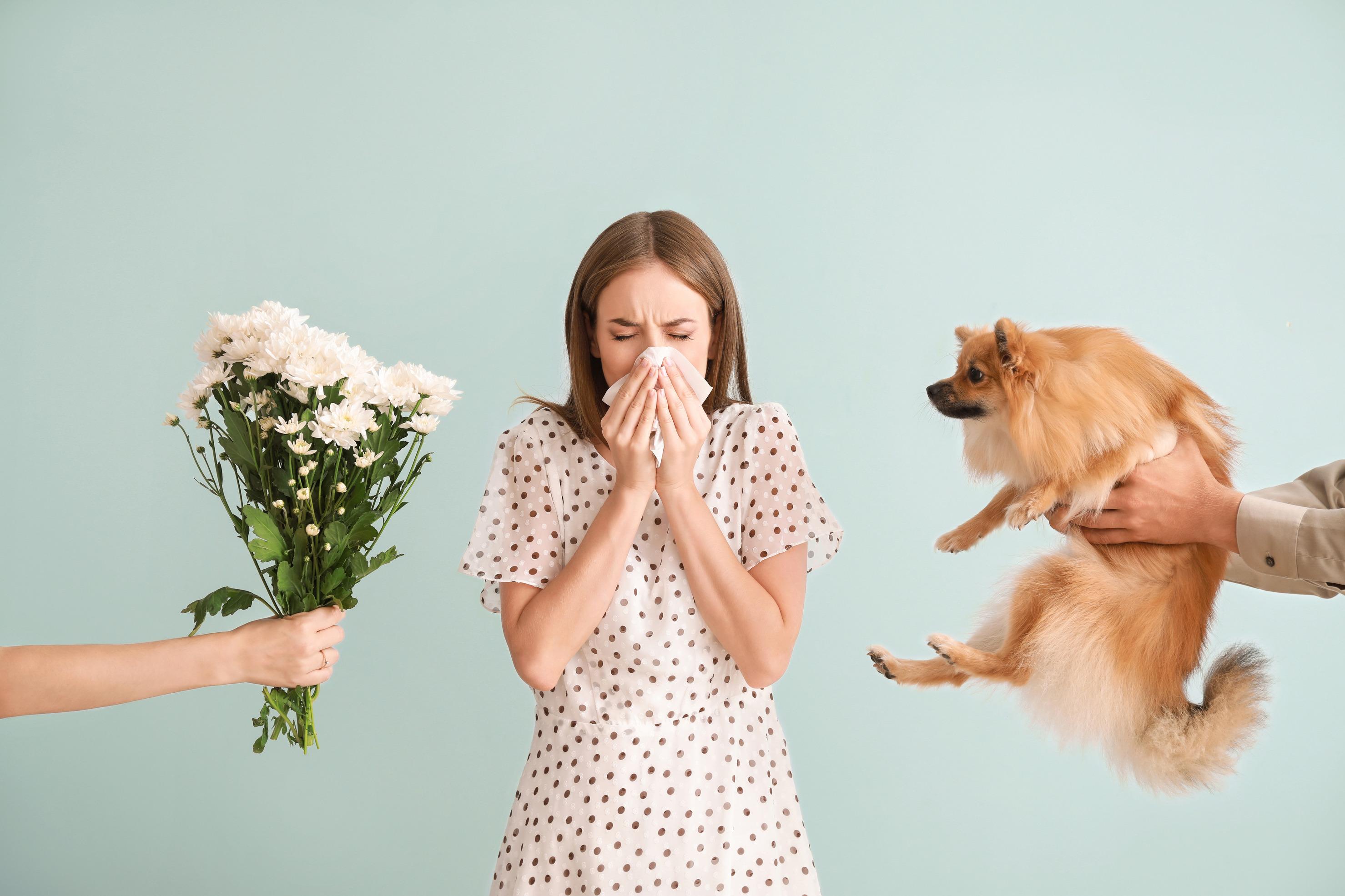 Combatting Allergy Fatigue: Tips for Relief