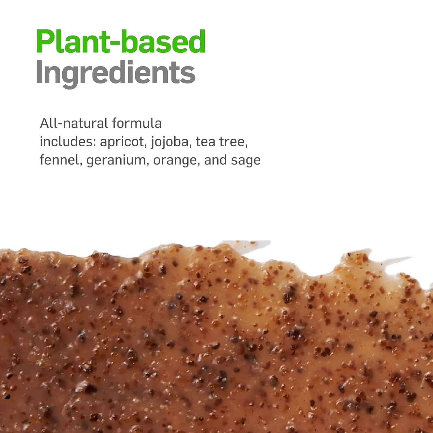 Plant-based foot scrub with apricot, jojoba, fennel, tea tree, and sage