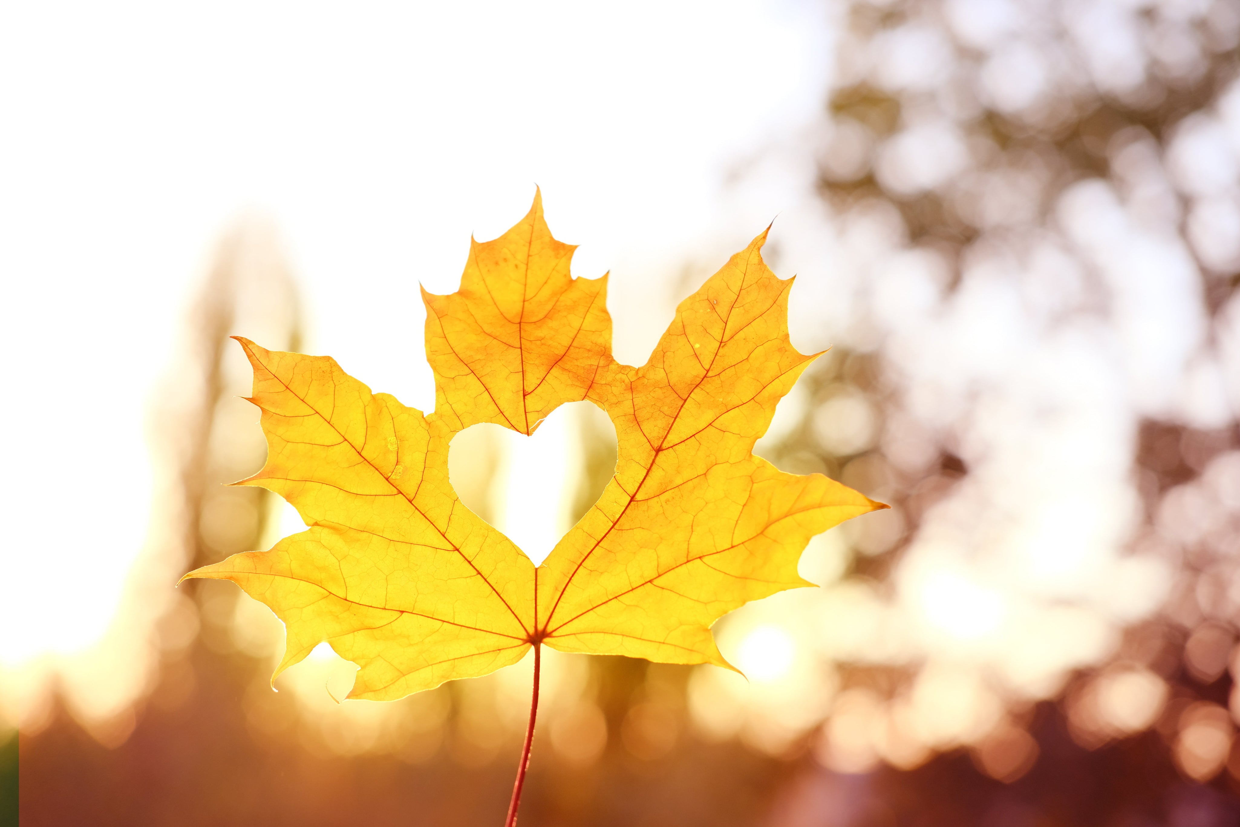 Simple Ways to Stay Healthy This Fall and Winter